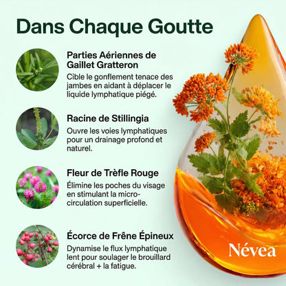 Légèreté retrouvée et gonflement réduit en 16 jours ou moins